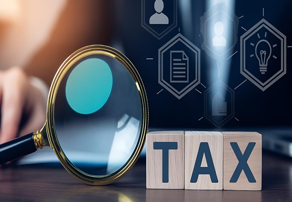 vat audit