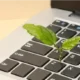 E-invoicing requirement UAE guide