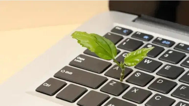 E-Invoicing Requirement in the UAE: Complete Guide